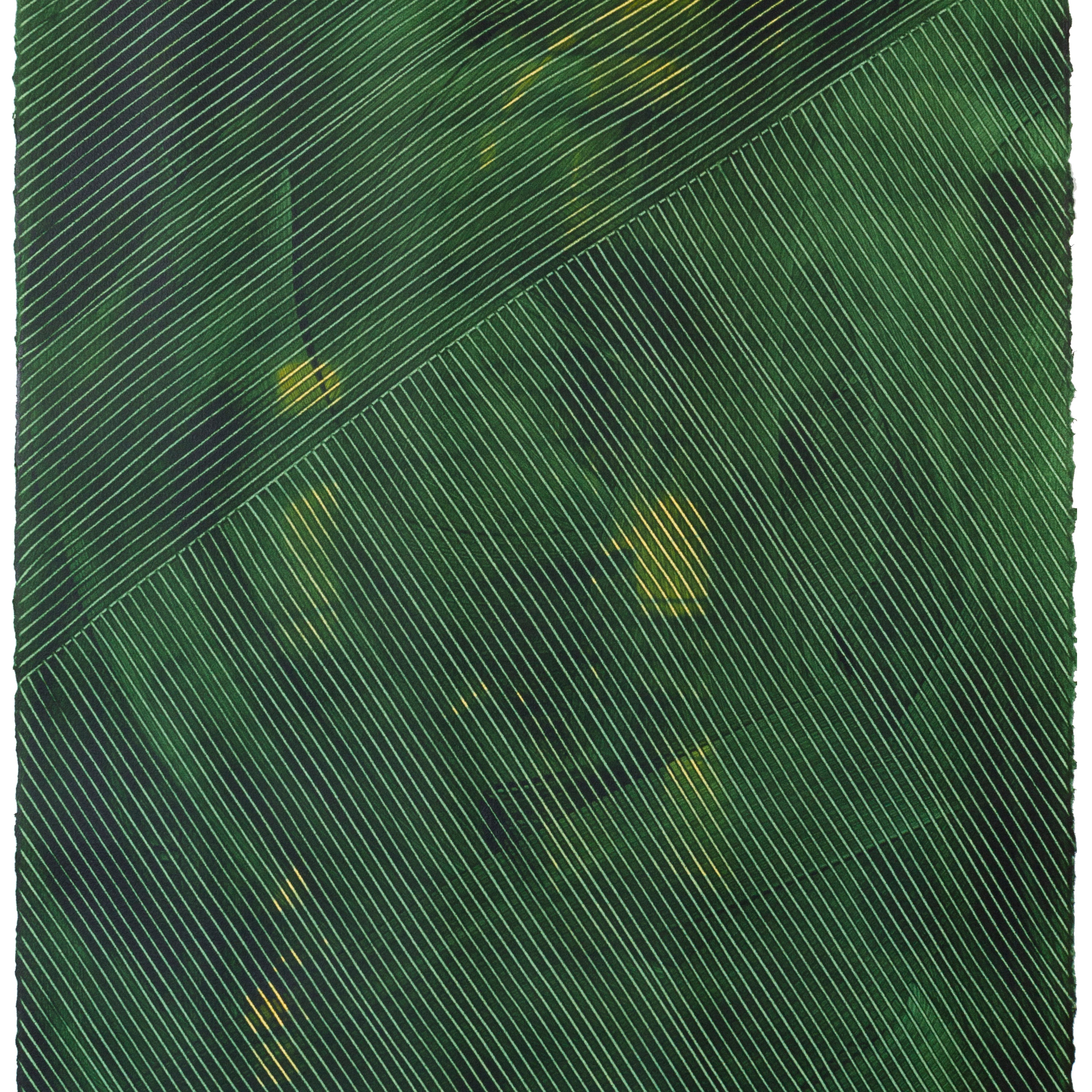 Sheet of handmade wallpaper with a dimensional combed pattern in dark green.