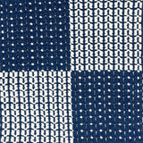 Indoor-Outdoor rug in a graphic checkerboard in white and blue.