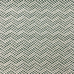 Indoor-Outdoor rug in a diamond basket weave in white and green.