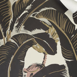 Banana leaf pattern wallpaper in dark brown, beige, and cream with a soft pink floral  accent. 