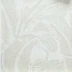 Close up of wallpaper with bold high contrast tropical banana leaf pattern in white on ecru.