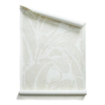 Roll of wallpaper with bold high contrast tropical banana leaf pattern in white on ecru.