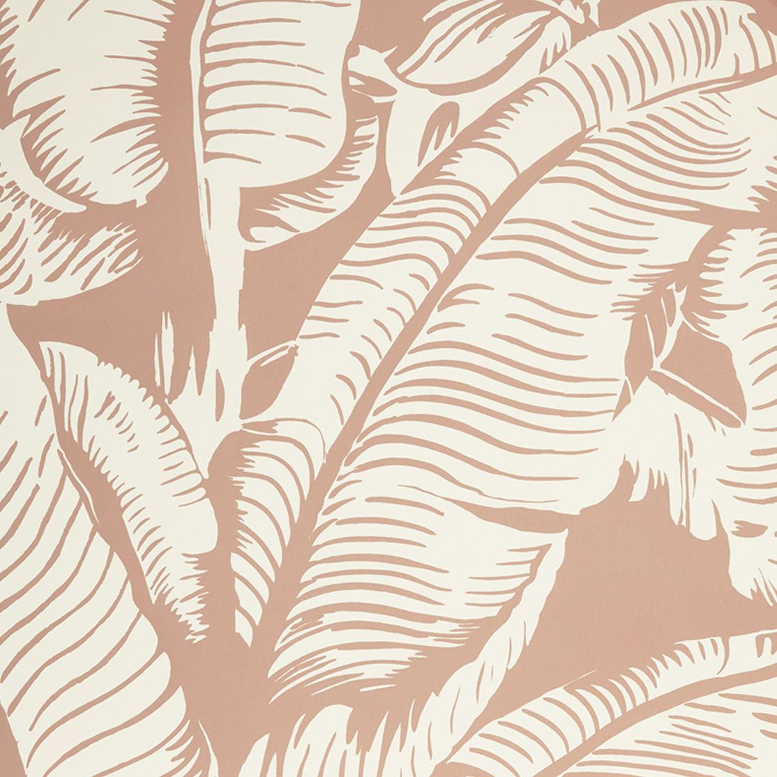 Close up of wallpaper with bold high contrast tropical banana leaf pattern in white on clay pink.