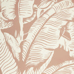 Close up of wallpaper with bold high contrast tropical banana leaf pattern in white on clay pink.