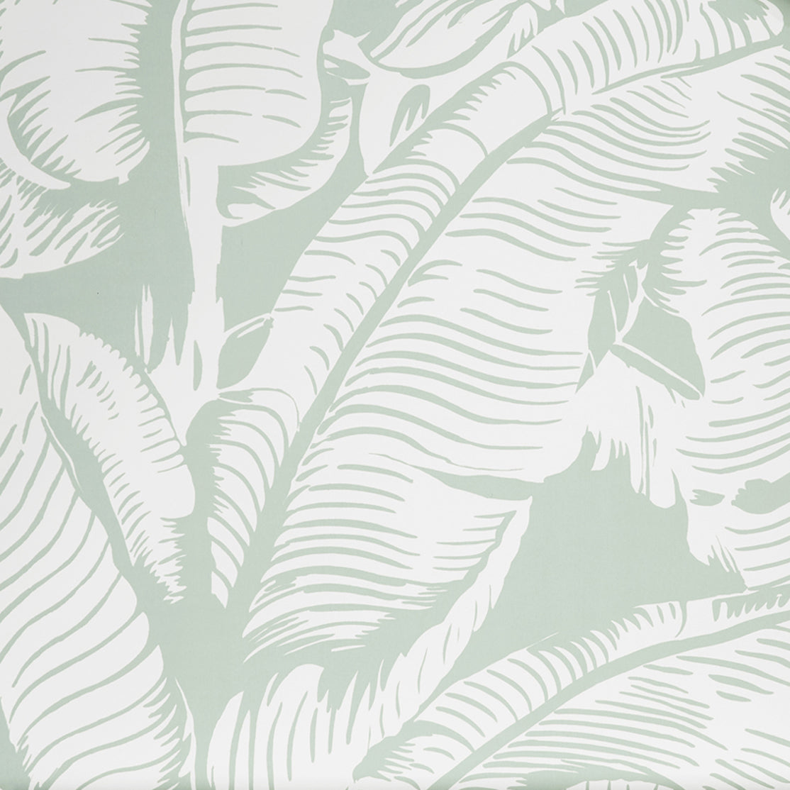 Close up of wallpaper with bold high contrast tropical banana leaf pattern in white on sea foam blue.