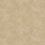 Detail of printed wallpaper with a white celestial dotted pattern on a soft tan background. 