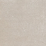 Broadloom carpet in cut pile in ivory.