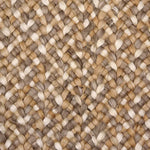 Broadloom carpet swatch textured design in tan grey 