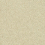 Solid cut pile broadloom carpet in cream. 