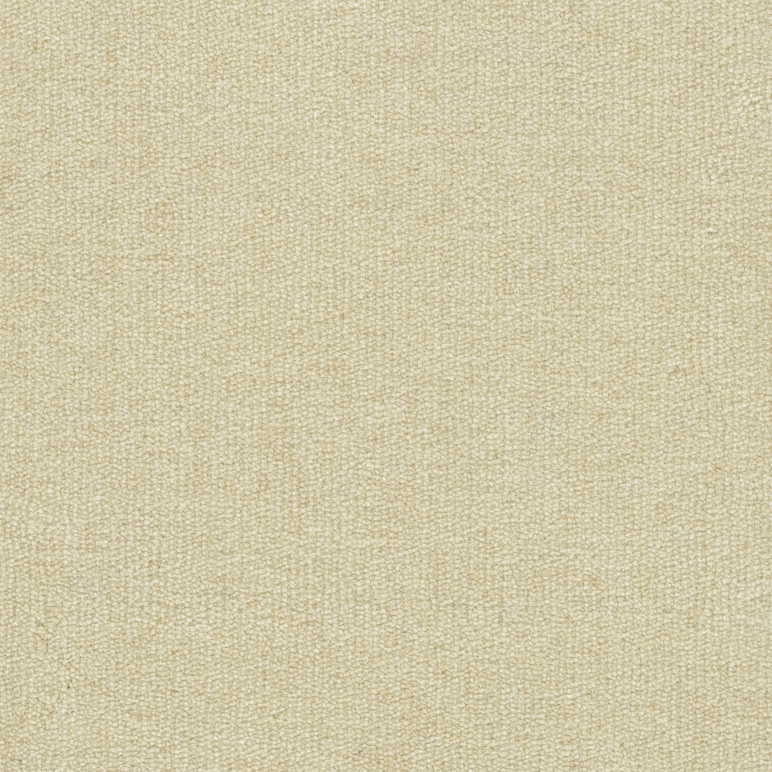 Solid cut pile broadloom carpet in cream. 