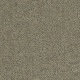 Solid cut pile broadloom carpet in grey.