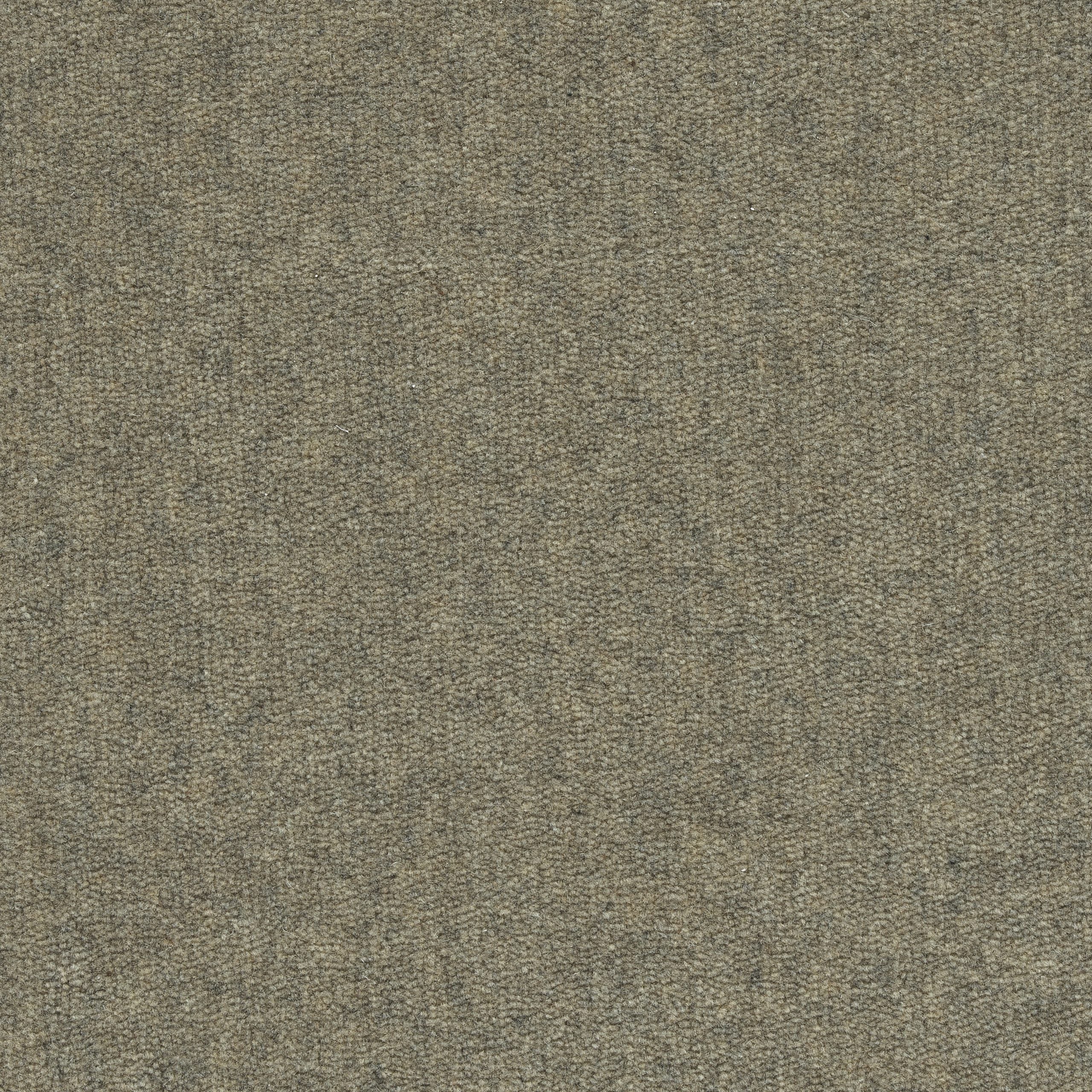 Solid cut pile broadloom carpet in grey.