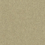 Solid cut pile broadloom carpet in tan.
