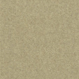 Solid cut pile broadloom carpet in tan.