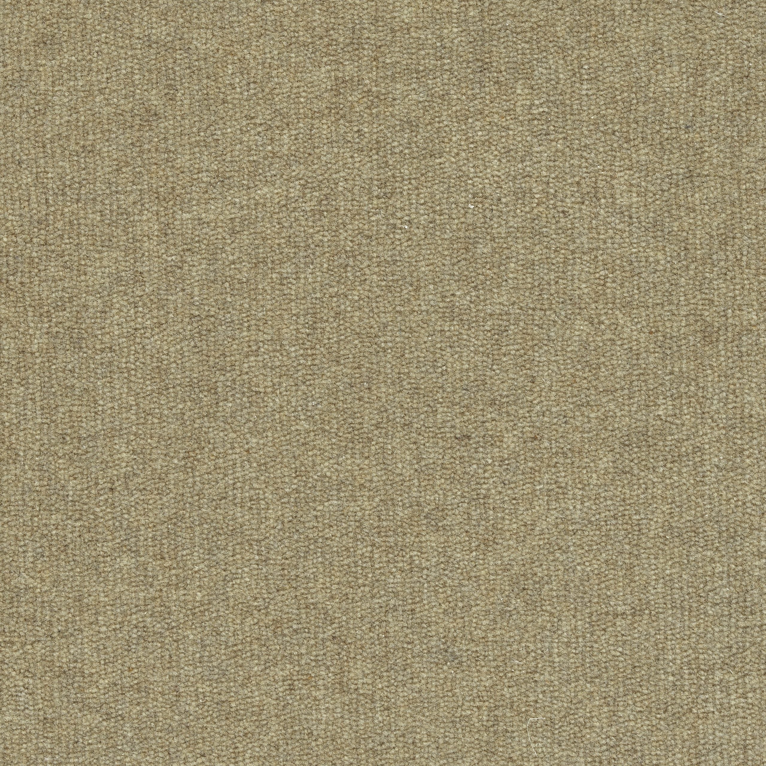 Solid cut pile broadloom carpet in taupe.