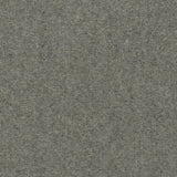 Solid cut pile broadloom carpet in charcoal.