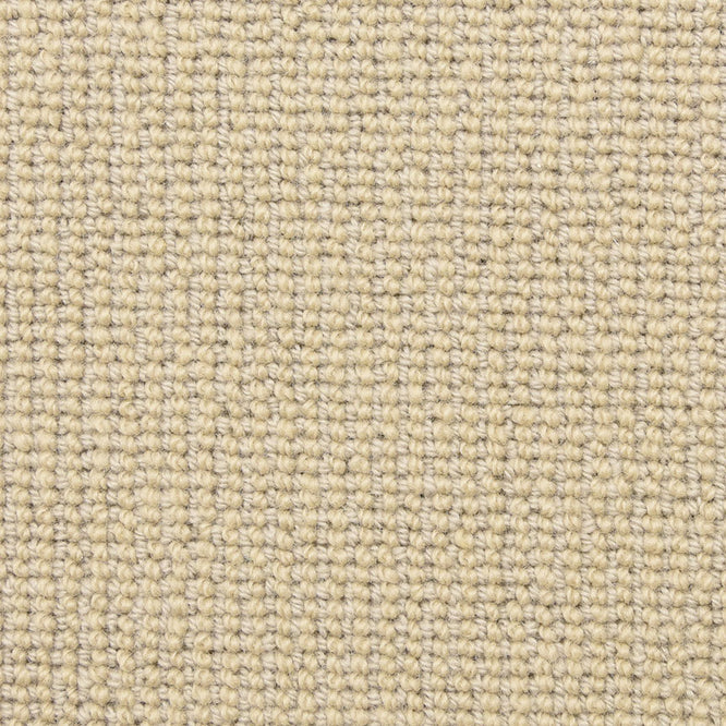 Broadloom carpet swatch textural design in neutral