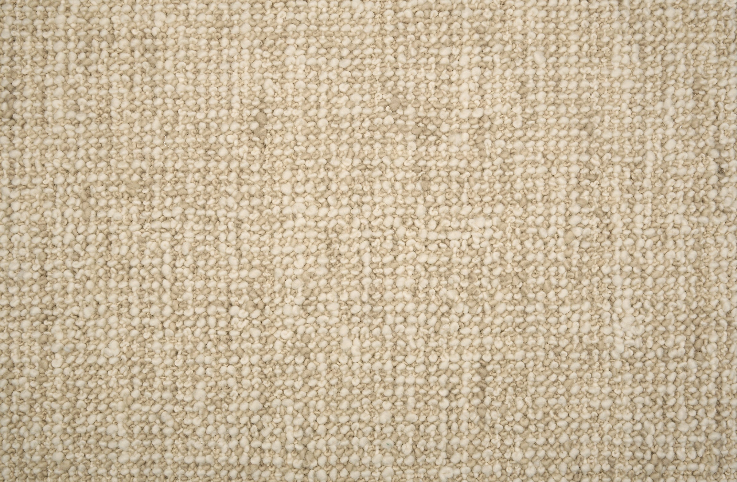 Textured loop carpet in beige.
