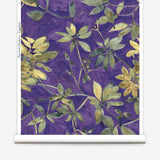 Plumeria Shadows Wallpaper