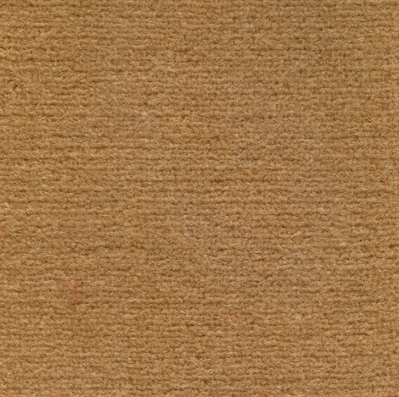 Broadloom sample cut pile in warm tan. 