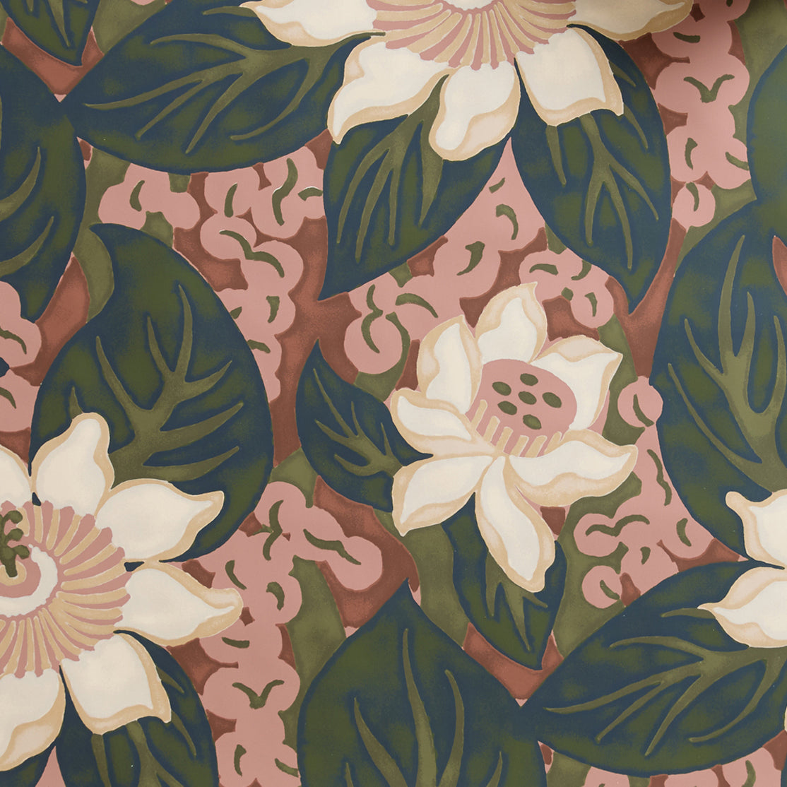 Close up of tropical floral wallpaper featuring cream-colored blossoms with pink centers, dark green leaves on bright red background. 