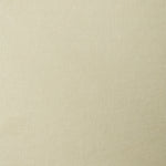 A swatch of linen fabric in a solid pale green color.