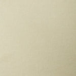 A swatch of linen fabric in a solid pale green color.