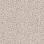 Detail of wallpaper in a painterly animal print in white and brown on a sable field.