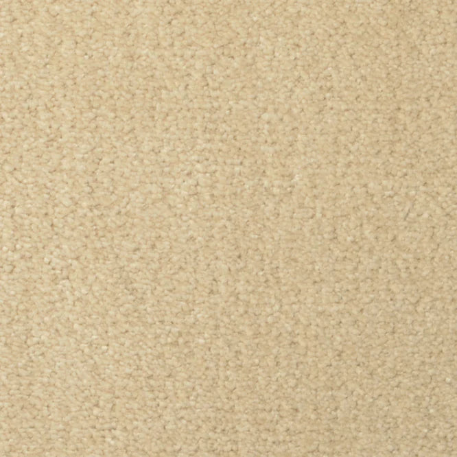Broadloom carpet swatch solid design in ivory
