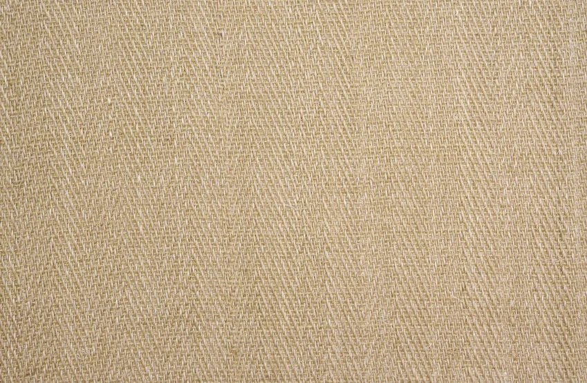Broadloom carpet swatch textured design in cream grey