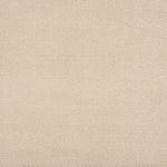 Broadloom carpet in a cut pile strié design in ivory.