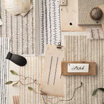 Scattered mood board with layers of hand drawn stripe pattern with natural specimens 