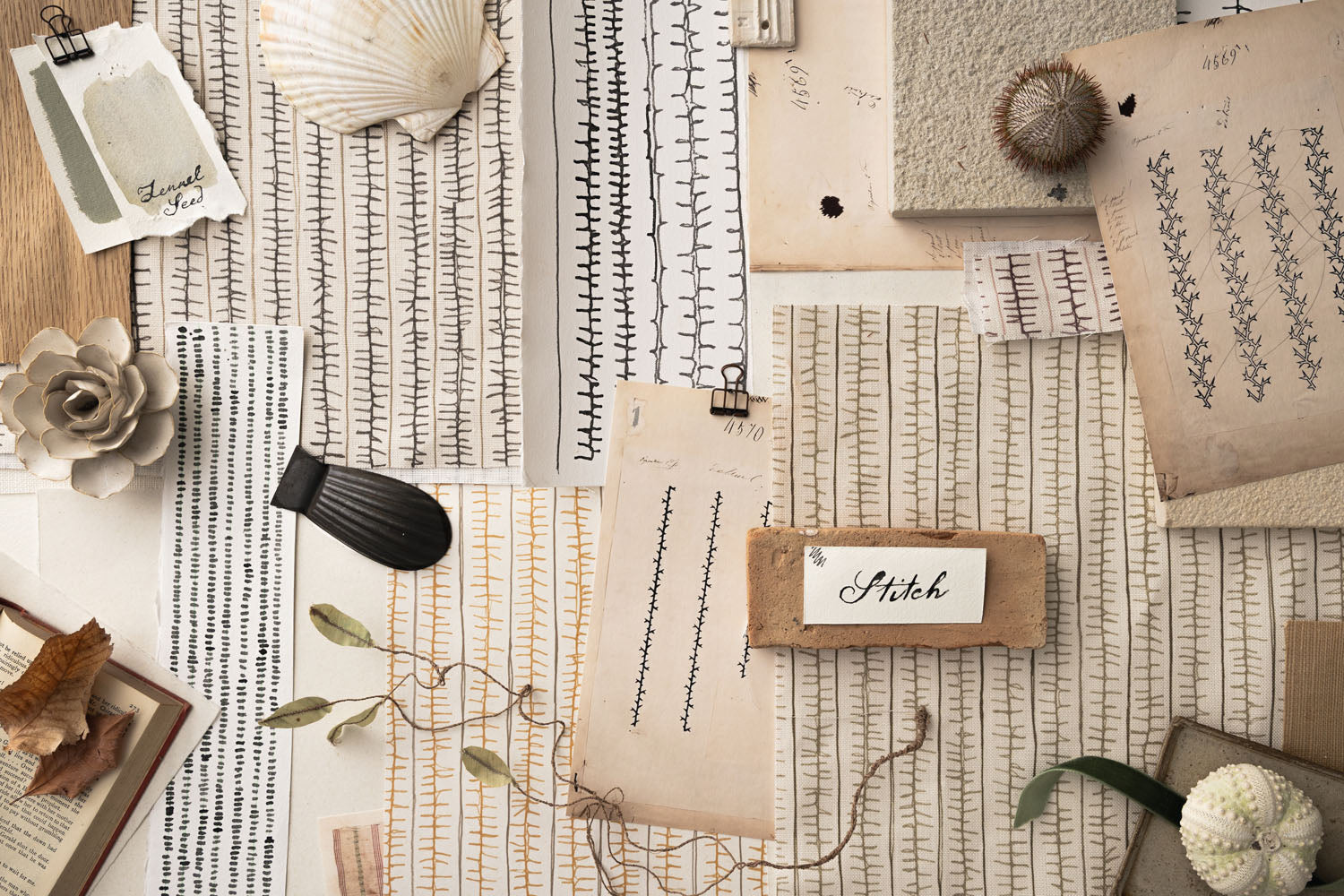Scattered mood board with layers of hand drawn stripe pattern with natural specimens 