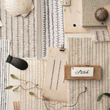 Scattered mood board with layers of hand drawn stripe pattern with natural specimens 