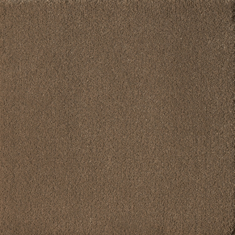 Broadloom carpet swatch in a solid pattern in a brown design