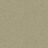 Detail of fabric in a small-scale dot and dash pattern in shades of cream and green on a sage field.