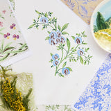 Collection of floral and nature-themed sketches and inspiration images