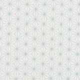 Fabric with an embroidered floral lattice print in light gray on a cream field.