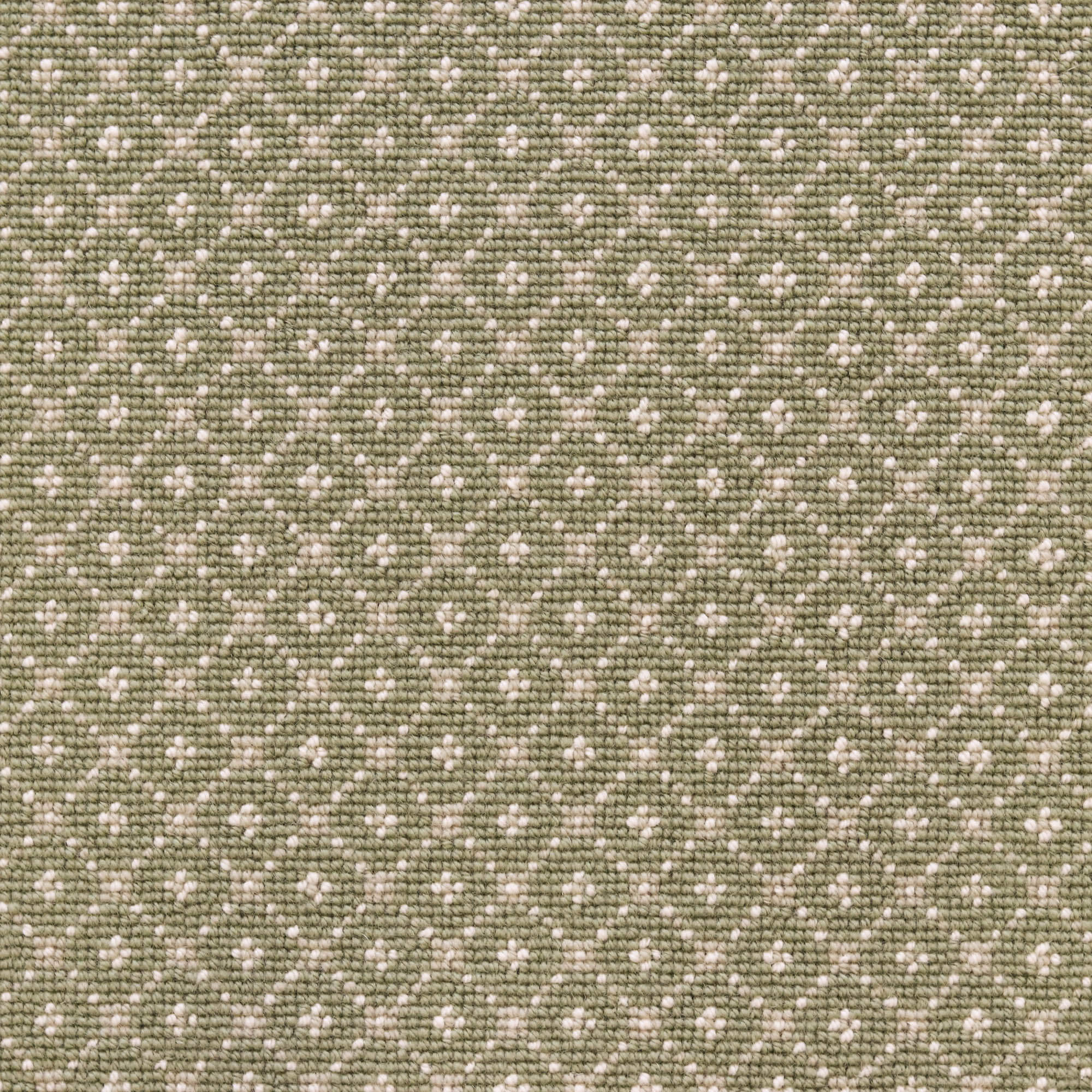 Broadloom carpet with dotted lattice in cream on a sage green field. 