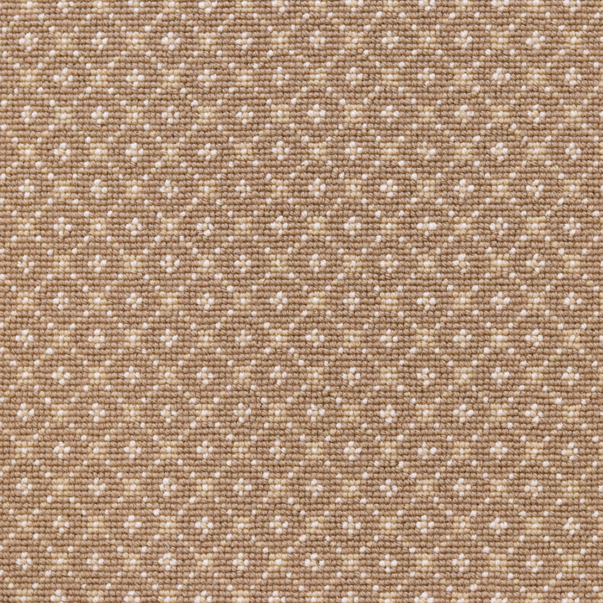 Broadloom carpet with dotted lattice in cream on a light brown field. 