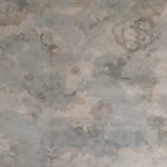 Detail of wallpaper in a dense photorealistic floral print in shades of gray.