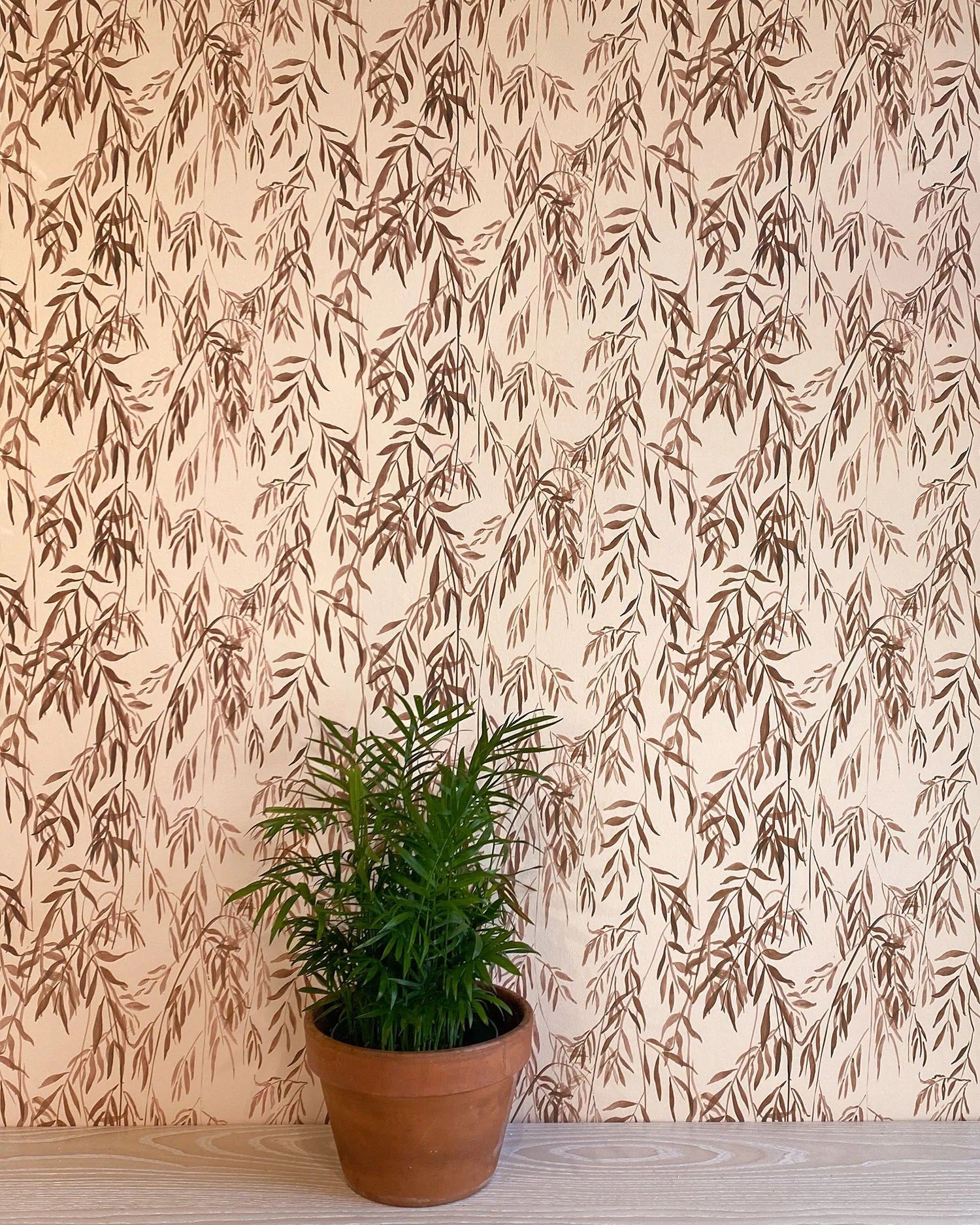 A potted plant stands in front of a wall papered in a painterly willow leaf print in brown on a cream field.