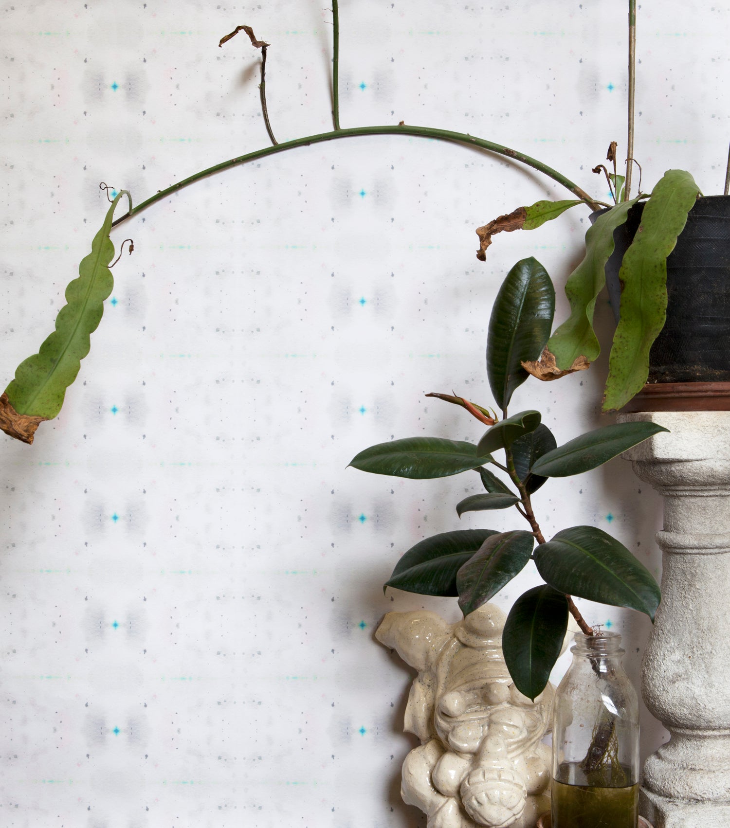 Wallpaper install in a repeating ink blot print in shades of gray with turquoise and pink accents framed by plants and props.