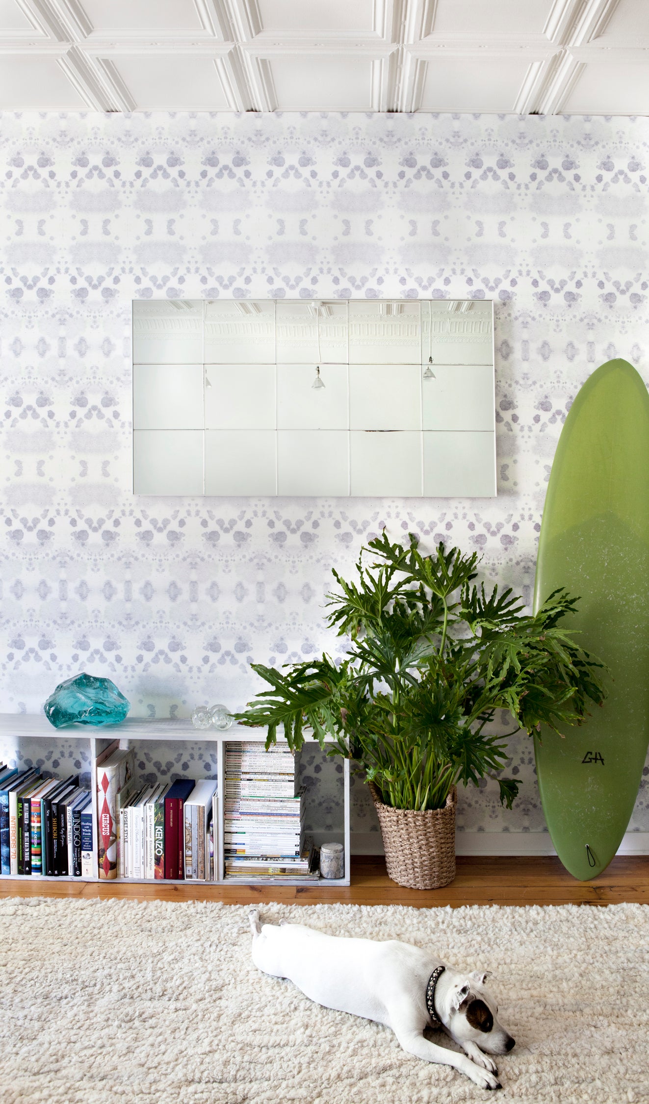 Living room with a white shag rug, dog, and low bookshelf against wallpaper in a watercolor inkblot print in shades of blue-gray on a cream field.