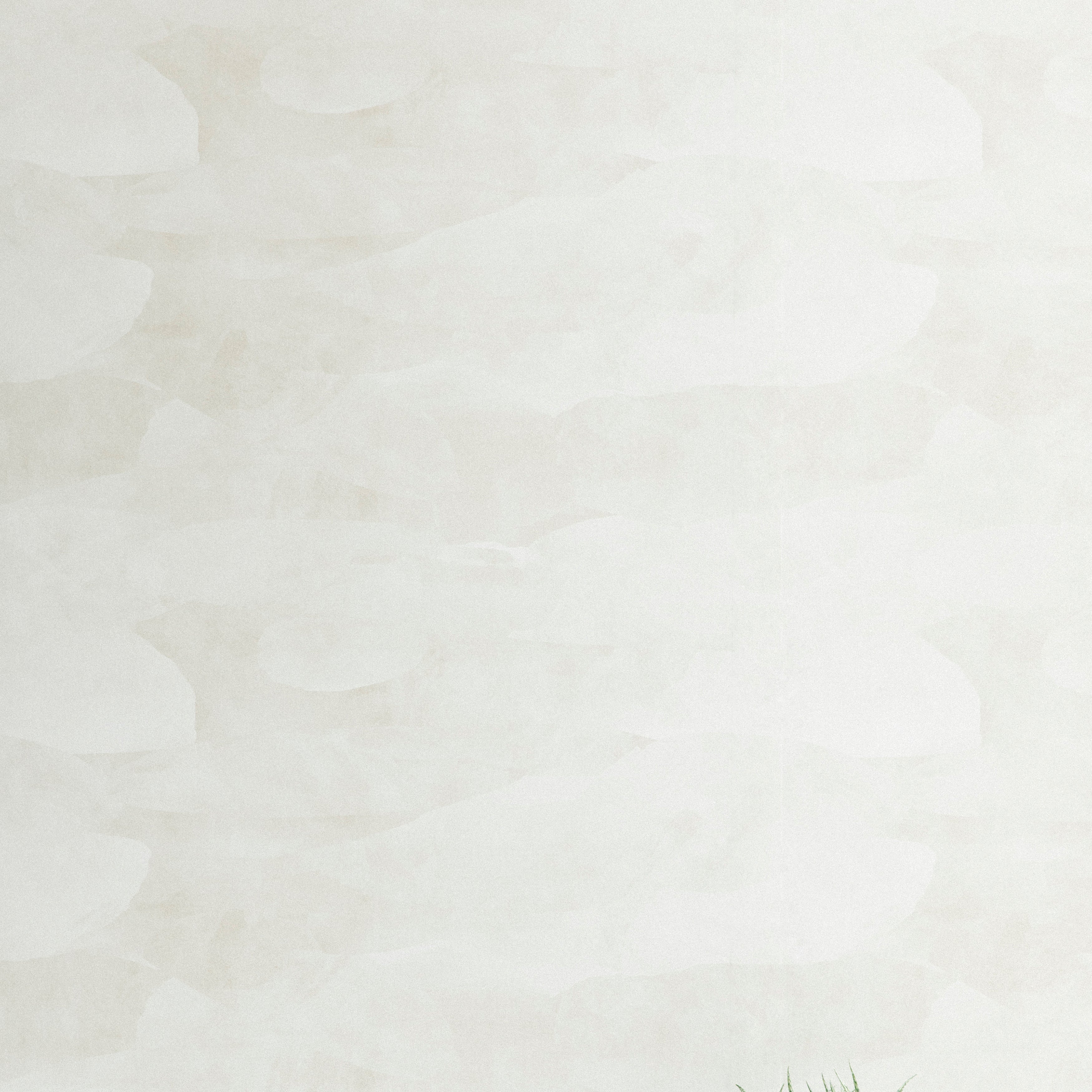 A potted plant stands in front of a wall papered in an abstract textural pattern in shades of gray and white.