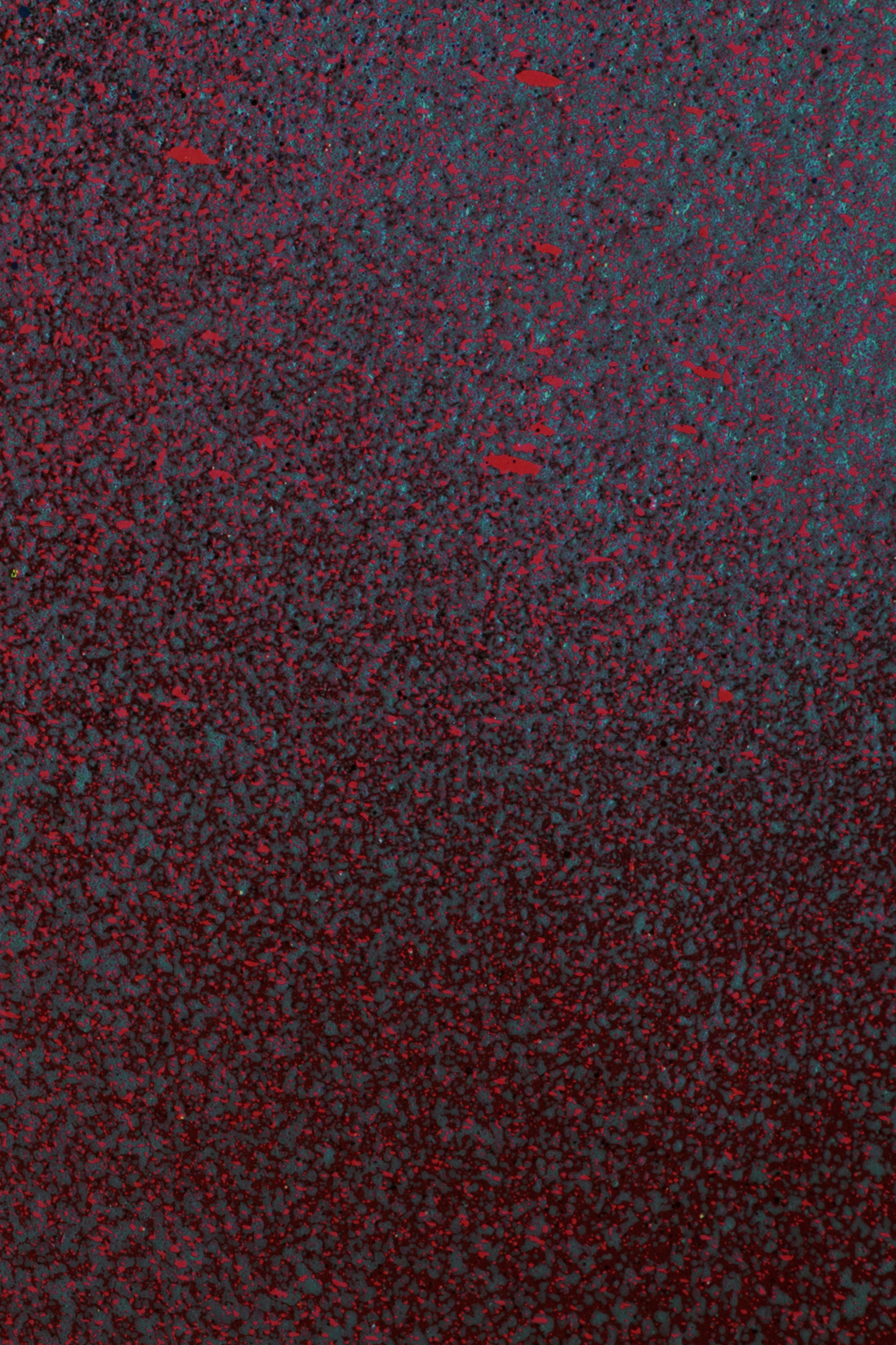 Close up of paint splatters in red, blue and black.