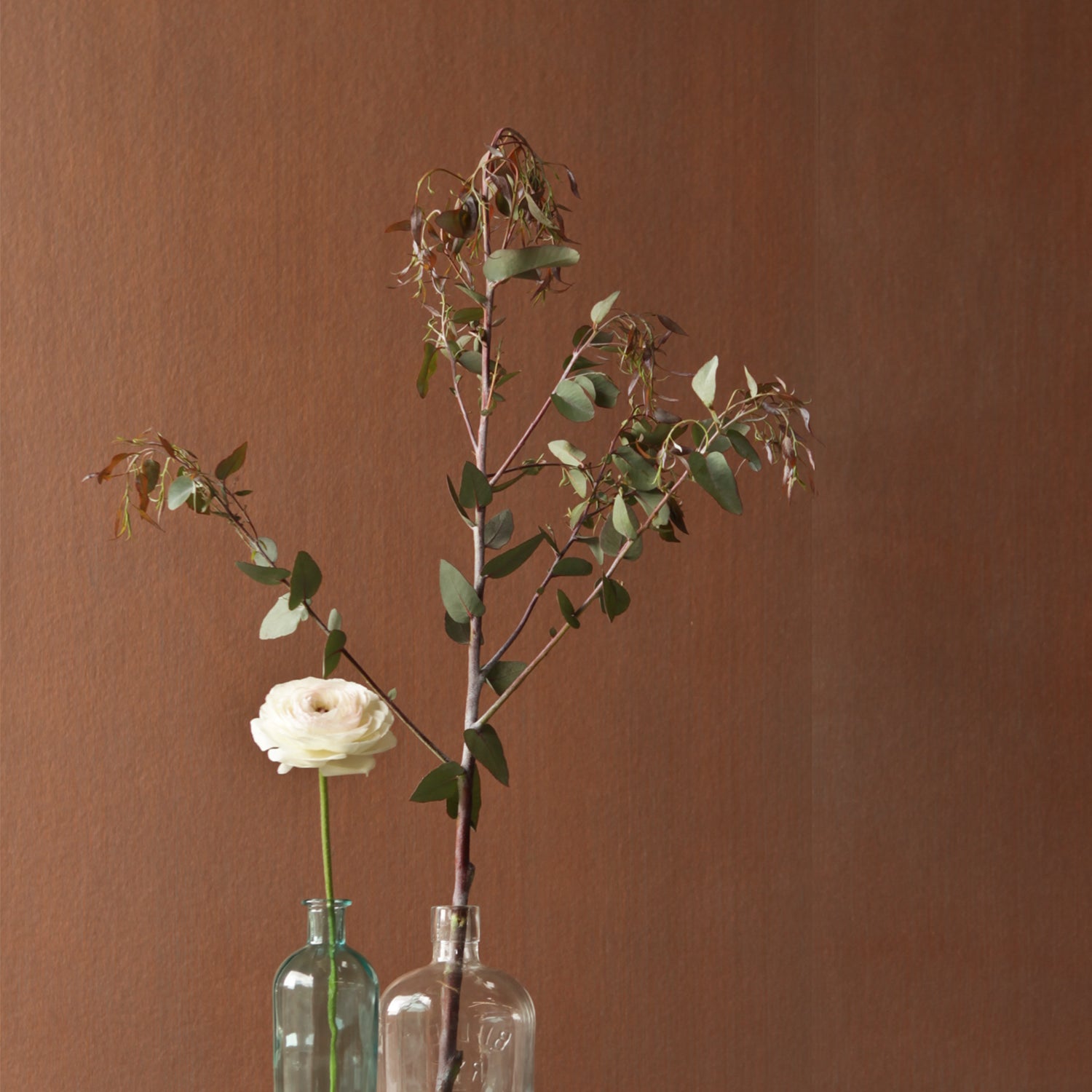 Sarkos, wallpaper, texture, earthy