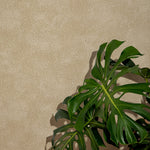 Cropped interior vignette detail with monstera leaves against a tan wallpaper with a dotted pattern and a blue zebra patterned chair seat at the foreground. 