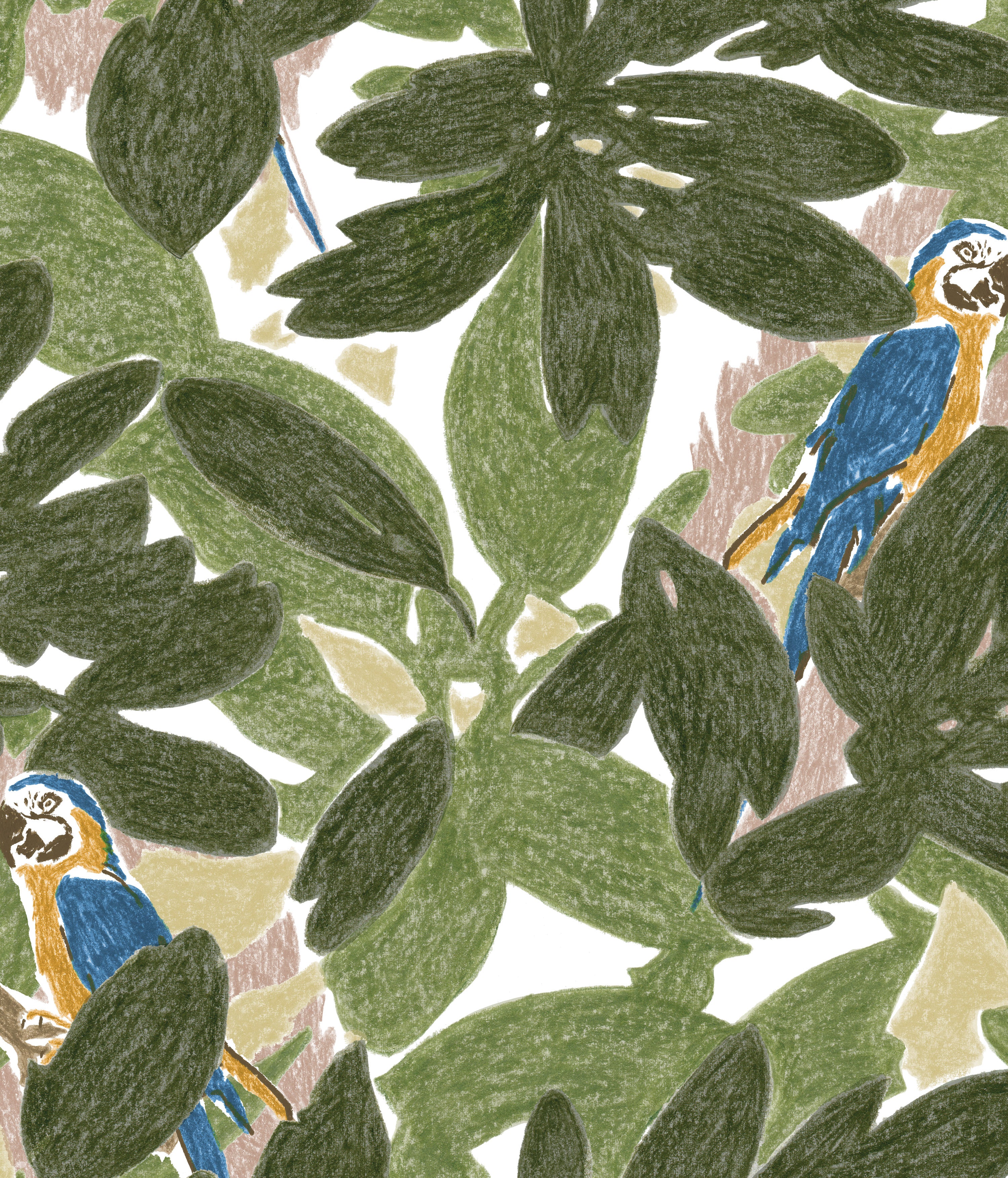 Detail of wallpaper in a playful botanical and parrot print in shades of green, blue and yellow on a white field.