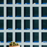A potted cactus stands in front of a wall papered in a dimensional grid print in shades of blue, navy and turquoise.